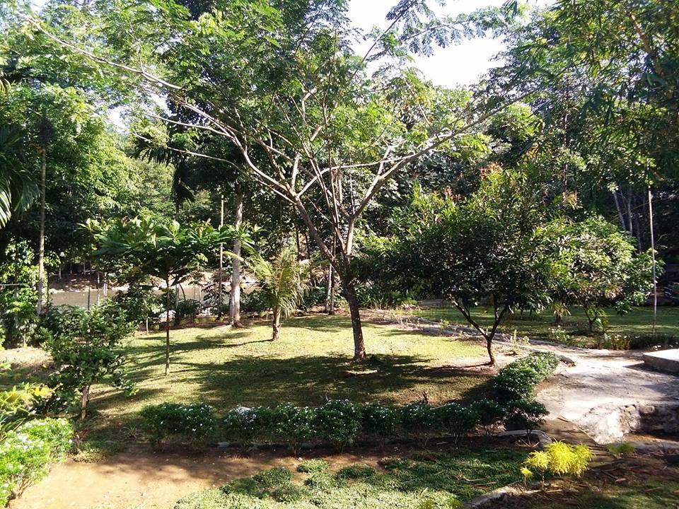 Отель Orchid Bungalow & Restaurant Timbanglawang Экстерьер фото